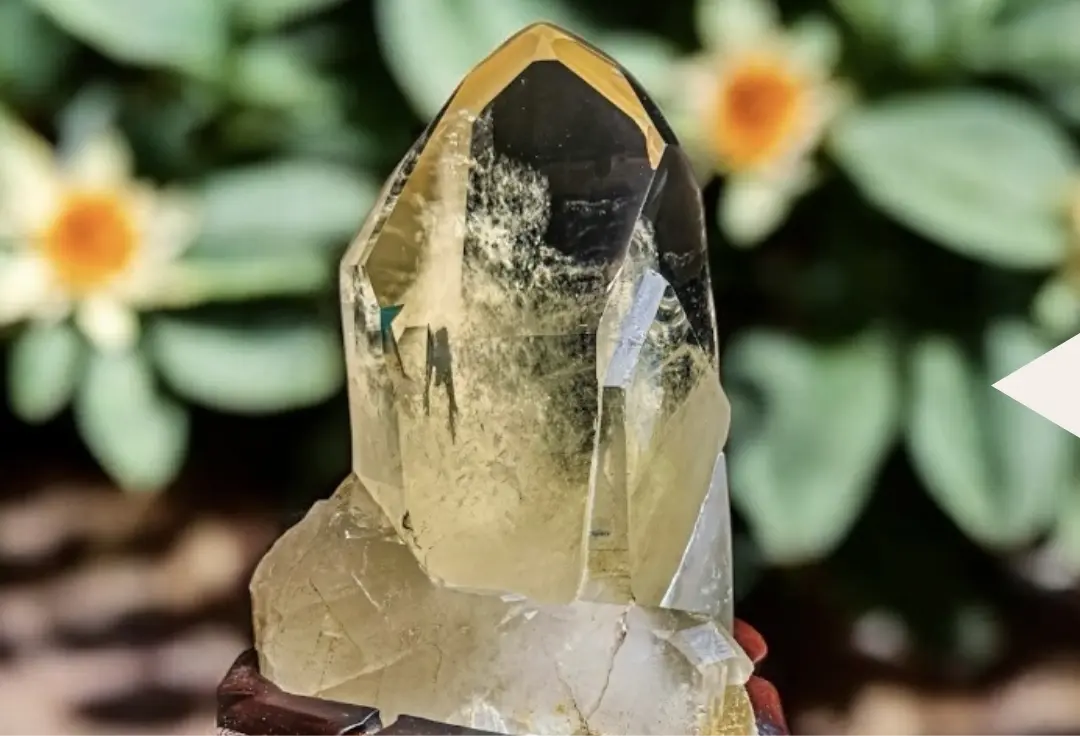 黃水 晶